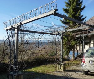 Pergola, opora za grozdje in senca za avto